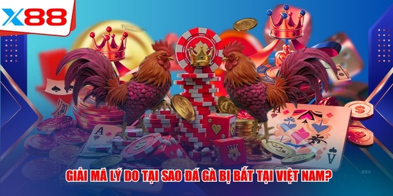 Giải mã lý do tại sao đá gà bị bắt tại Việt Nam?