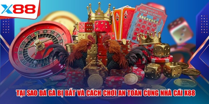 Tại Sao Đá Gà Bị Bắt Và Cách Chơi An Toàn Cùng Nhà Cái X88